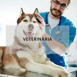VETERINARIA