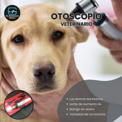 Otoscopio Veterinario Metalico LED Acero Inoxidable GERMAN Ogdmve